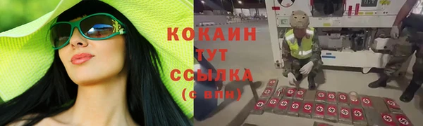 сатива Беломорск