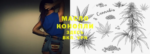 сатива Беломорск