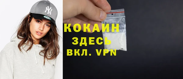 сатива Беломорск
