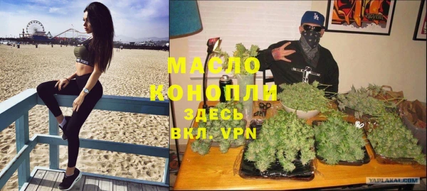 сатива Беломорск