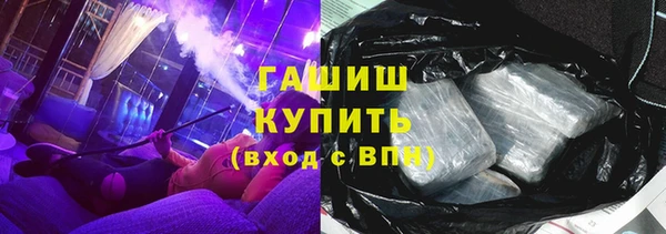 сатива Беломорск